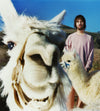 A.P.C. x Tame Impala - Man wearing pink sweatshirt in front of 2 alpacas.